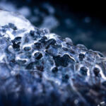 When Bacteria Learn to Eat Plastic – What a Surprising Discovery Means for Materials in Use Today